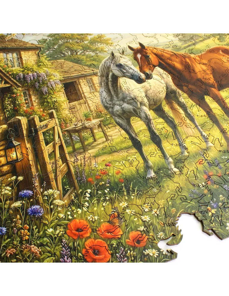 Horses in a country garden