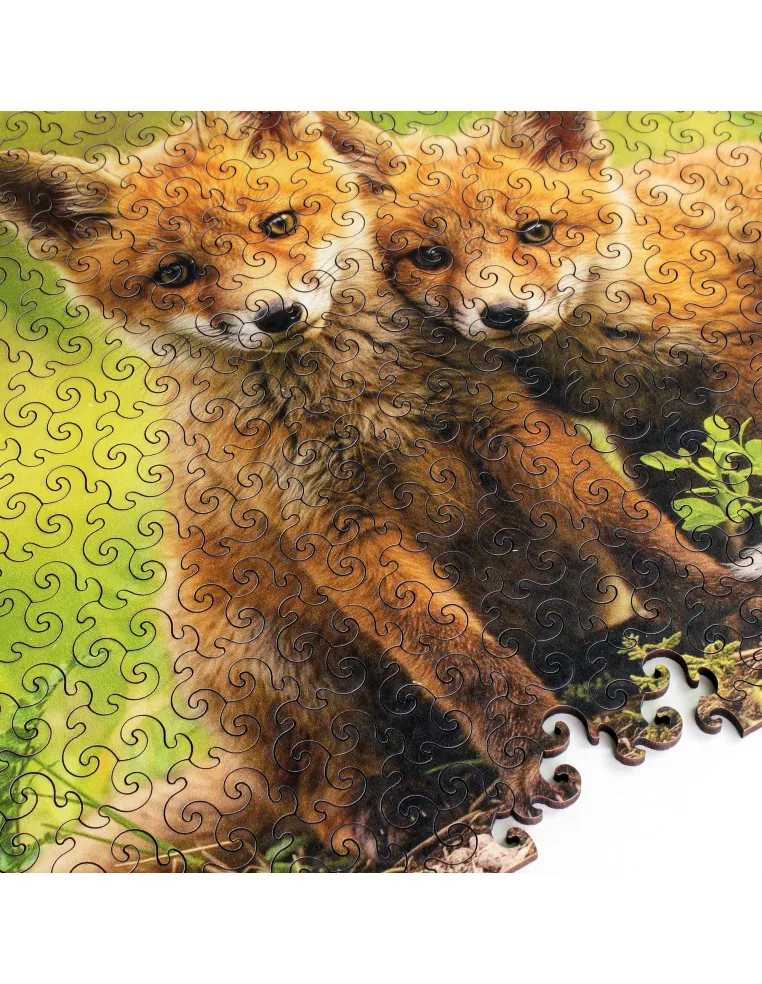 Foxy Tales