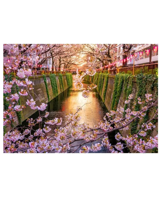 Sakura – dřevěné puzzle Premium