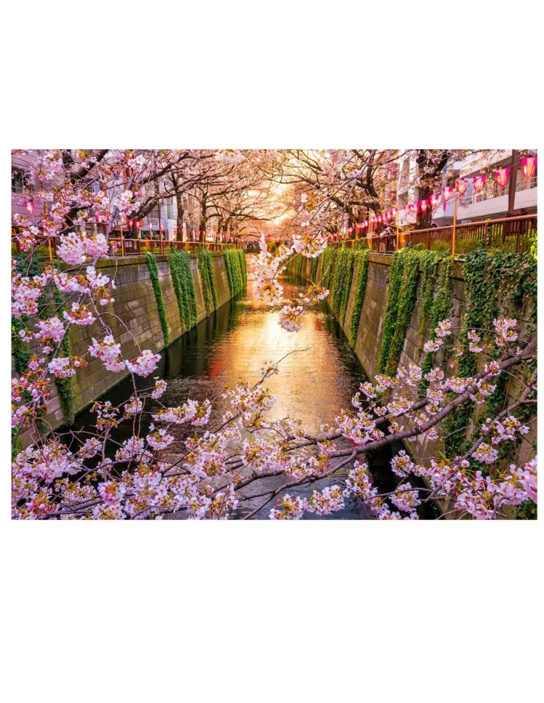 Sakura Drewniane Puzzle Premium