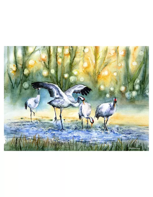 Dřevěné jeřáby – puzzle Premium