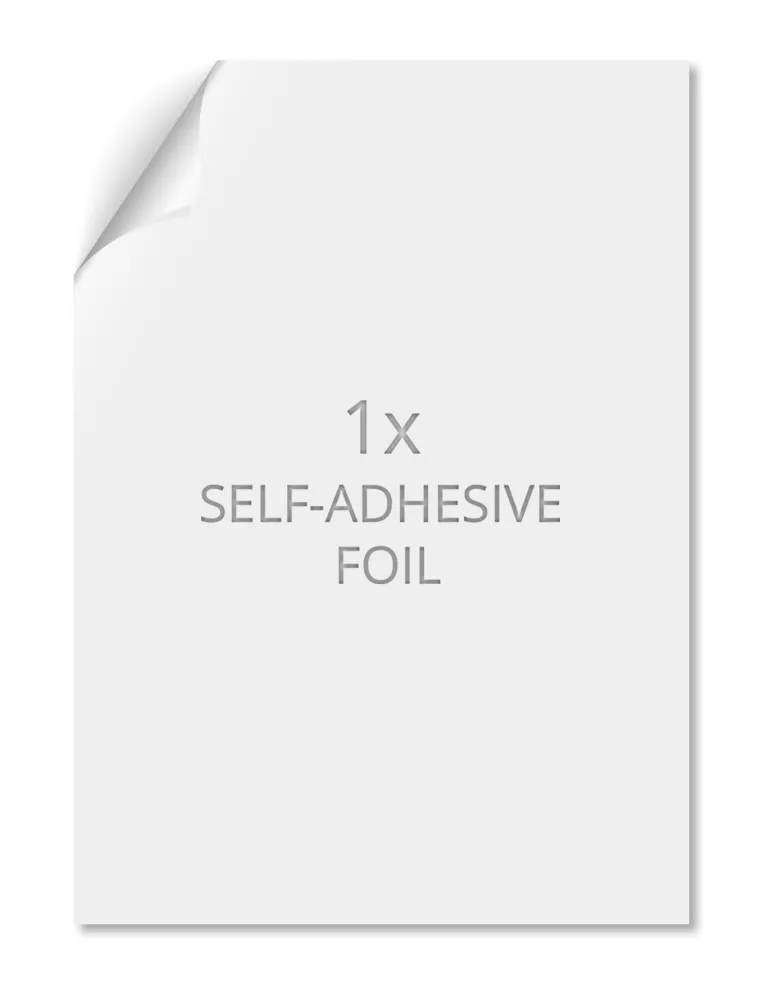 Na skraju Zaczarowanego Lasu...